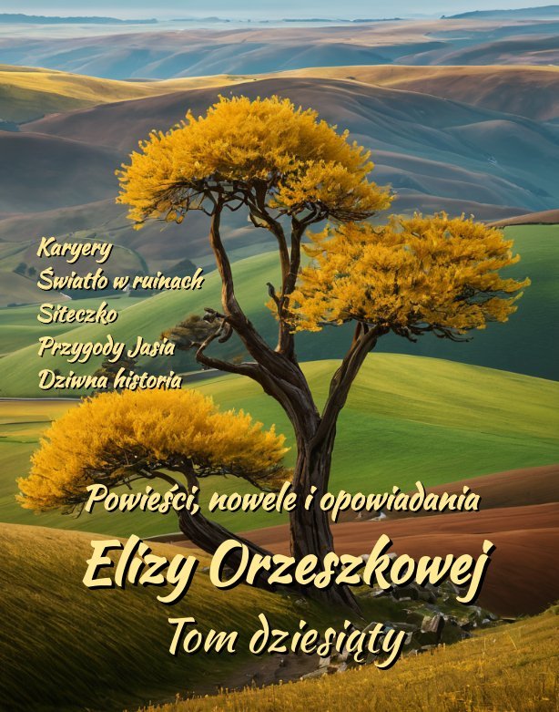 Powieści, nowele i opowiadania Elizy Orzeszkowej. Tom 10 okładka