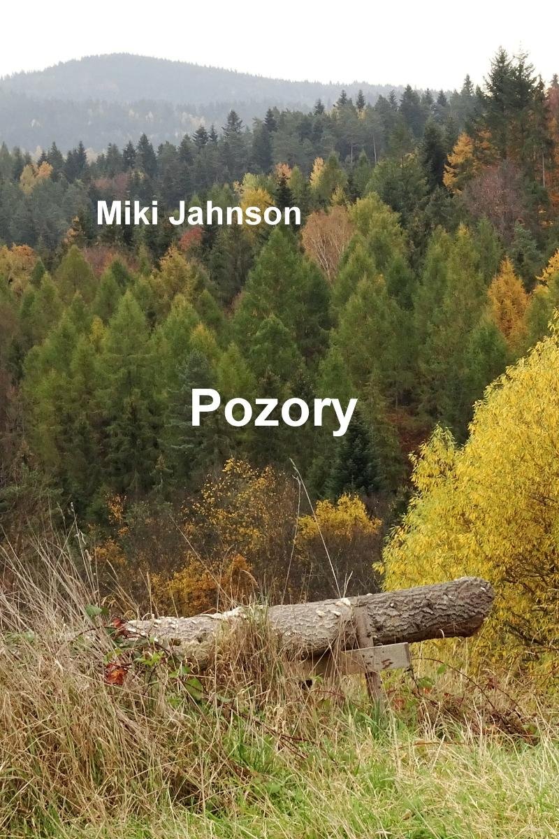 Pozory - ebook PDF okładka