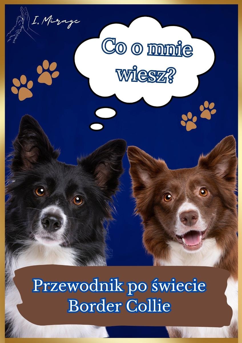 Przewodnik po świecie Border Collie okładka