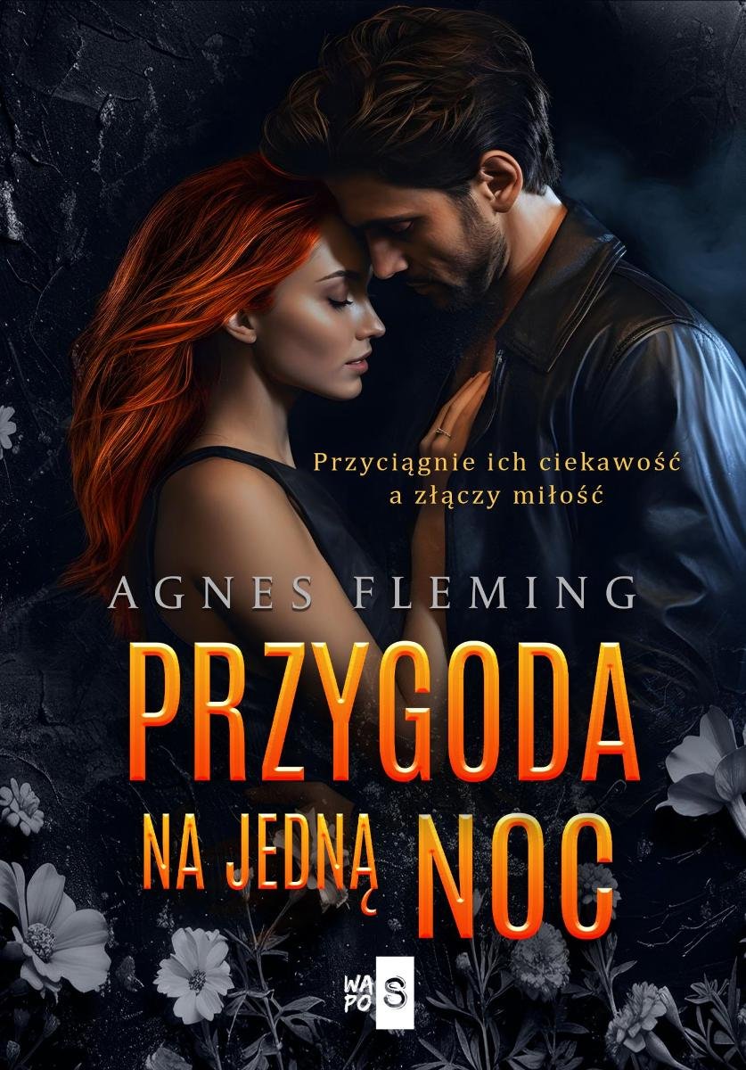 Przygoda na jedną noc - ebook epub okładka