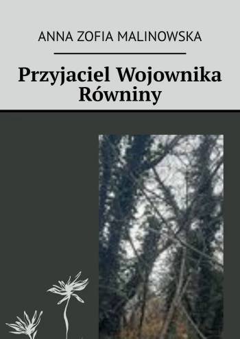 Przyjaciel wojownika równiny okładka