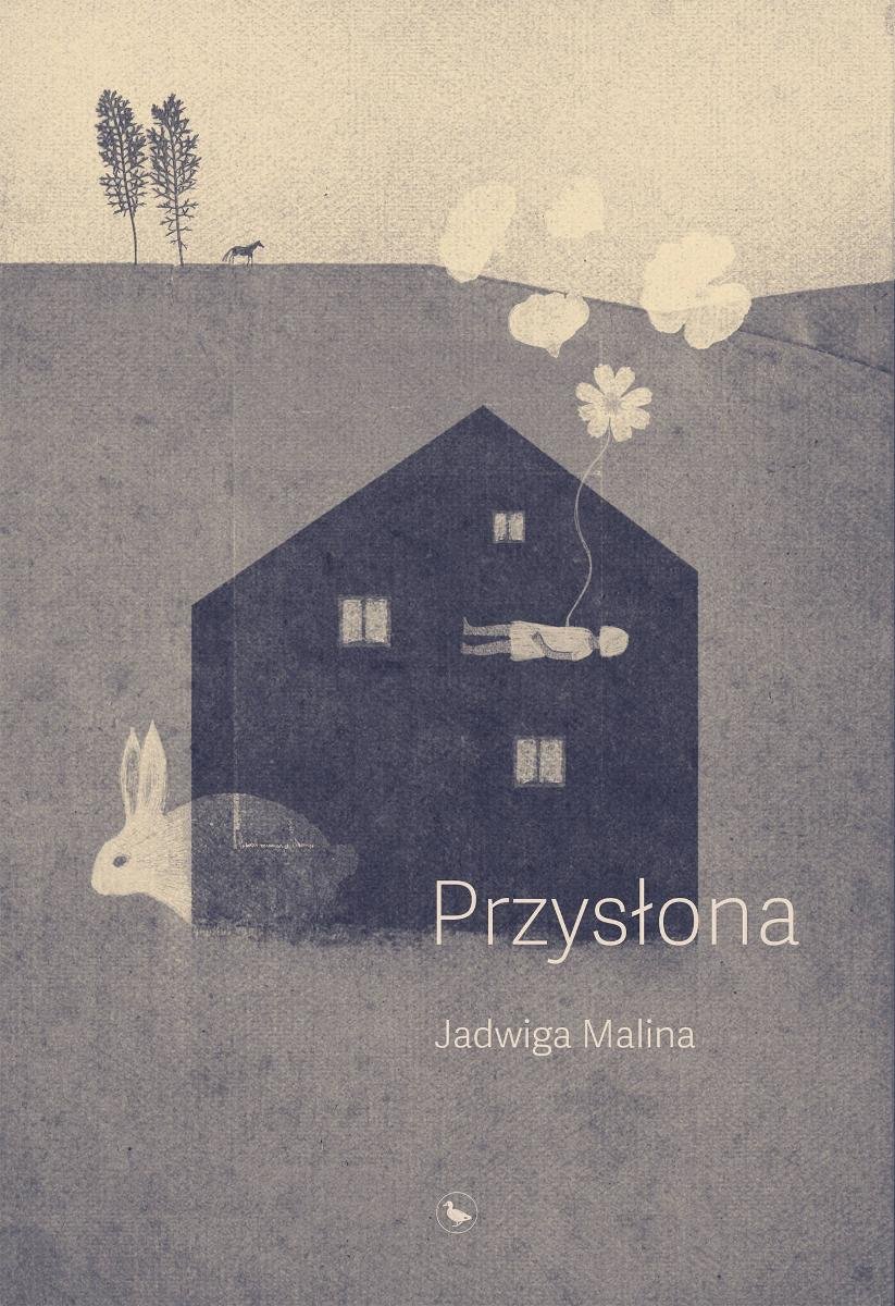 Przysłona - ebook epub okładka