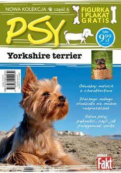 Psy. Tom 6. Yorkshire Terrier okładka