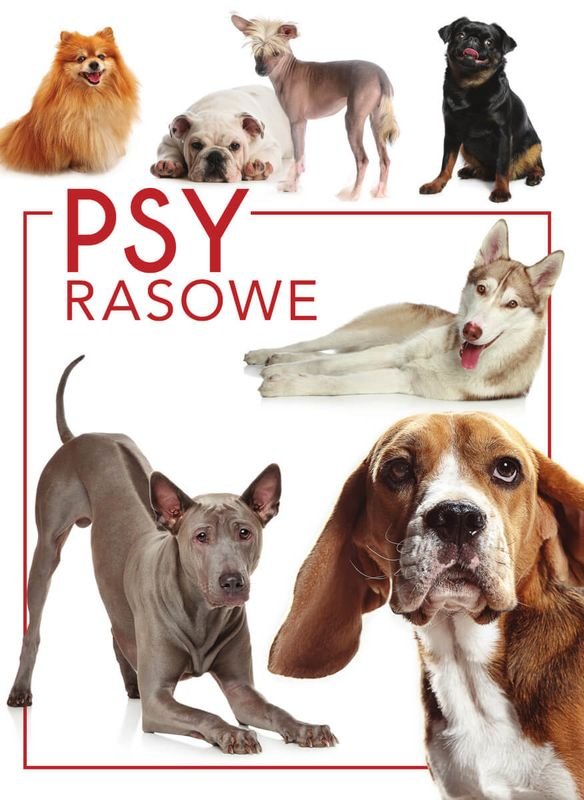 Psy rasowe okładka