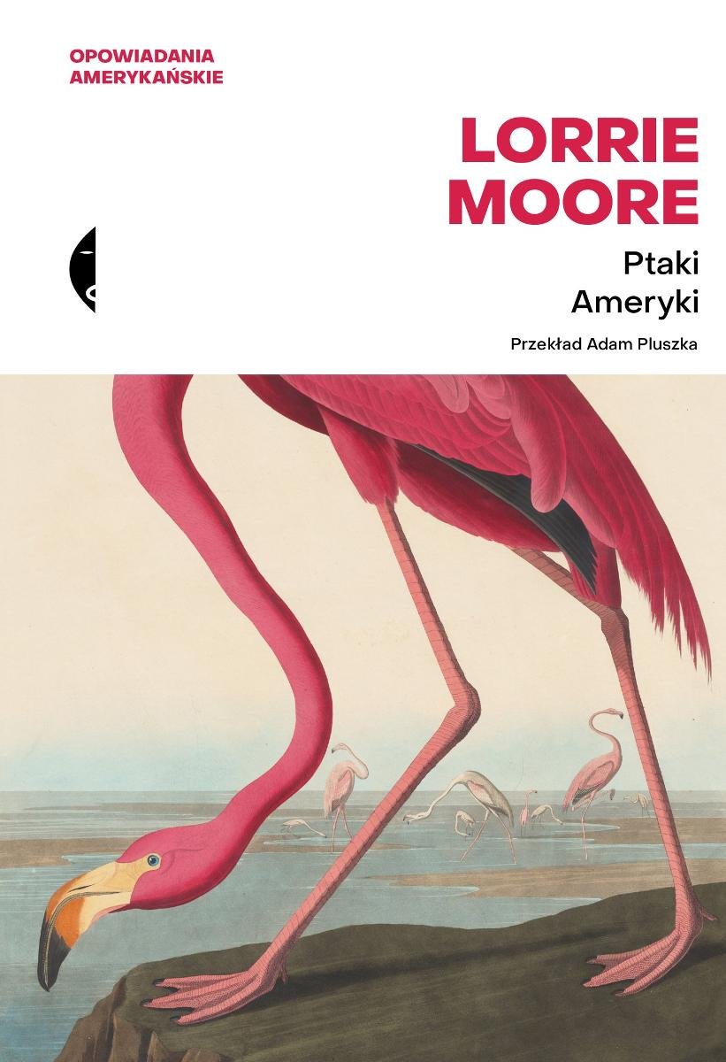 Ptaki Ameryki - ebook EPUB okładka