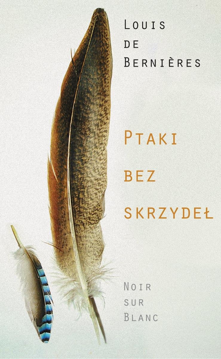 Ptaki bez skrzydeł - ebook epub okładka