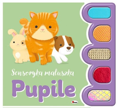 Pupile. Sensoryka maluszka cover