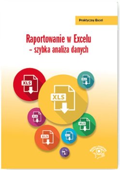 Raportowanie w Excelu – szybka analiza danych okładka