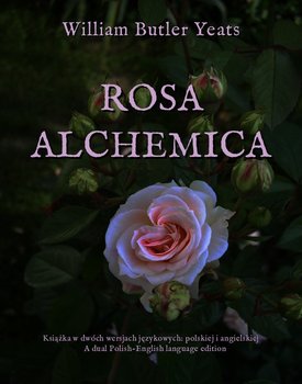 Rosa alchemica okładka