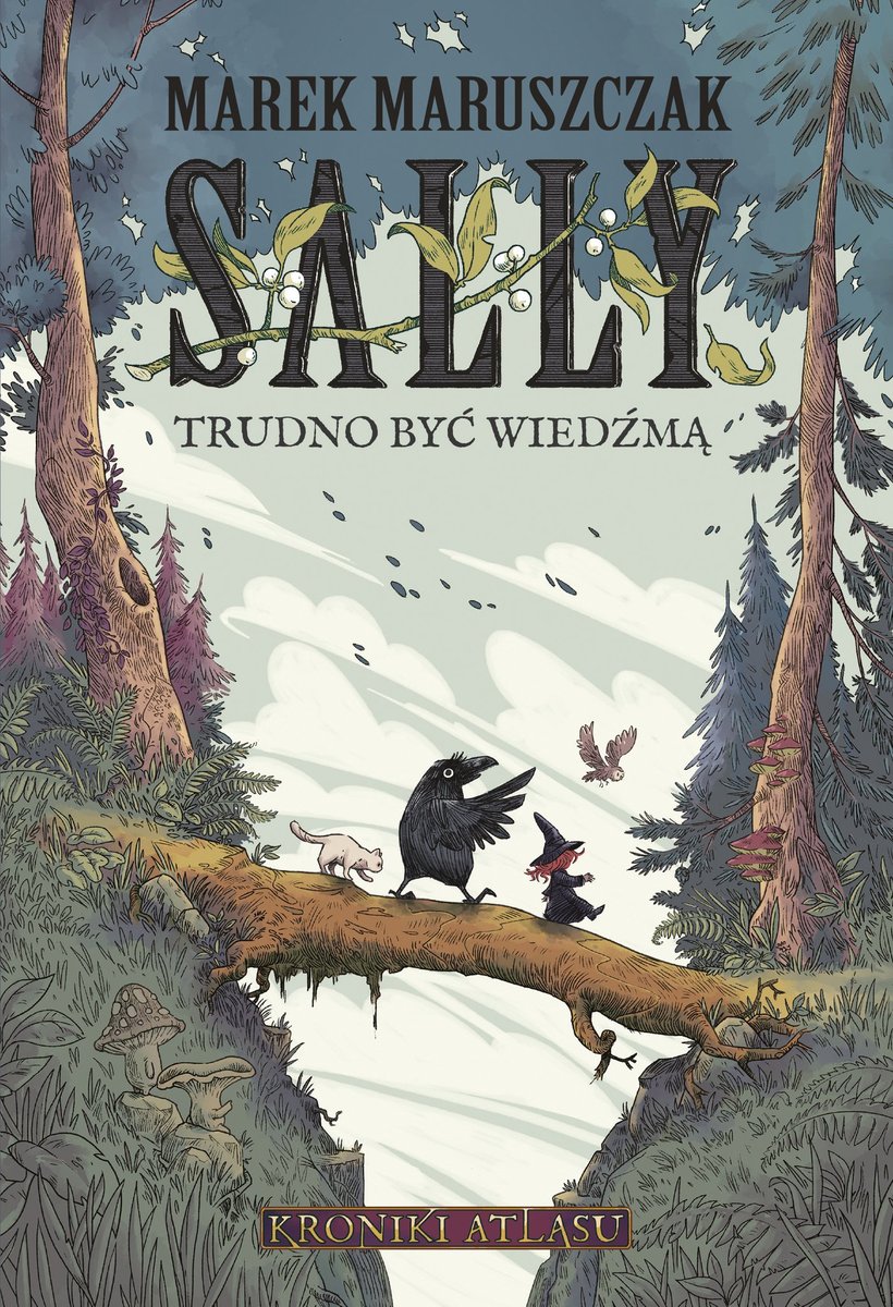 Sally. Trudno być wiedźmą - ebook MOBI okładka