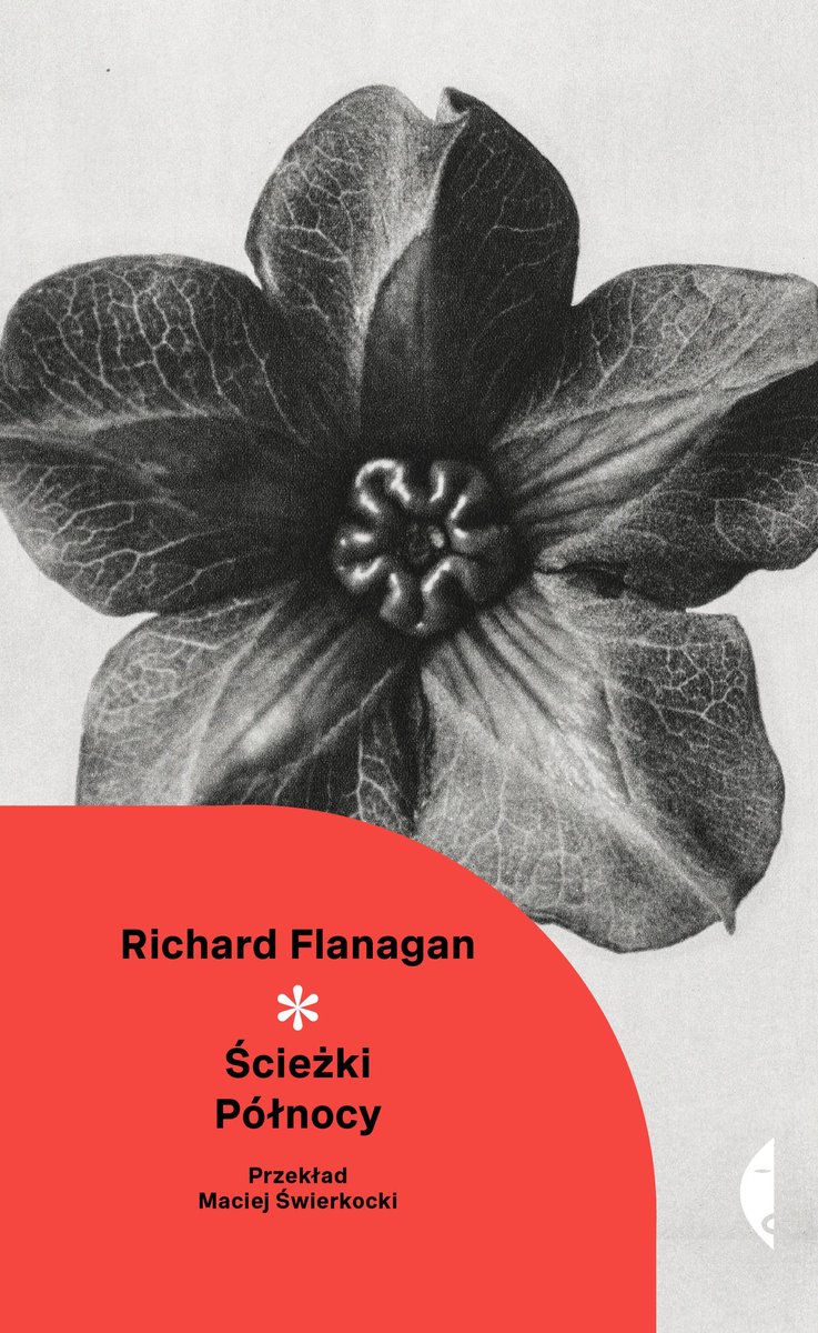 Ścieżki północy - ebook EPUB okładka