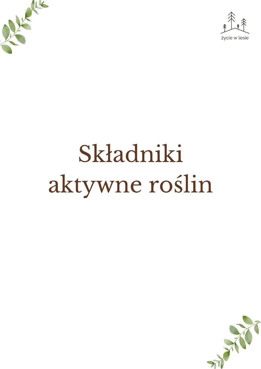 Składniki aktywne roślin okładka