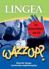 Słownik slangu i potocznej angielszczyzny + CD okładka