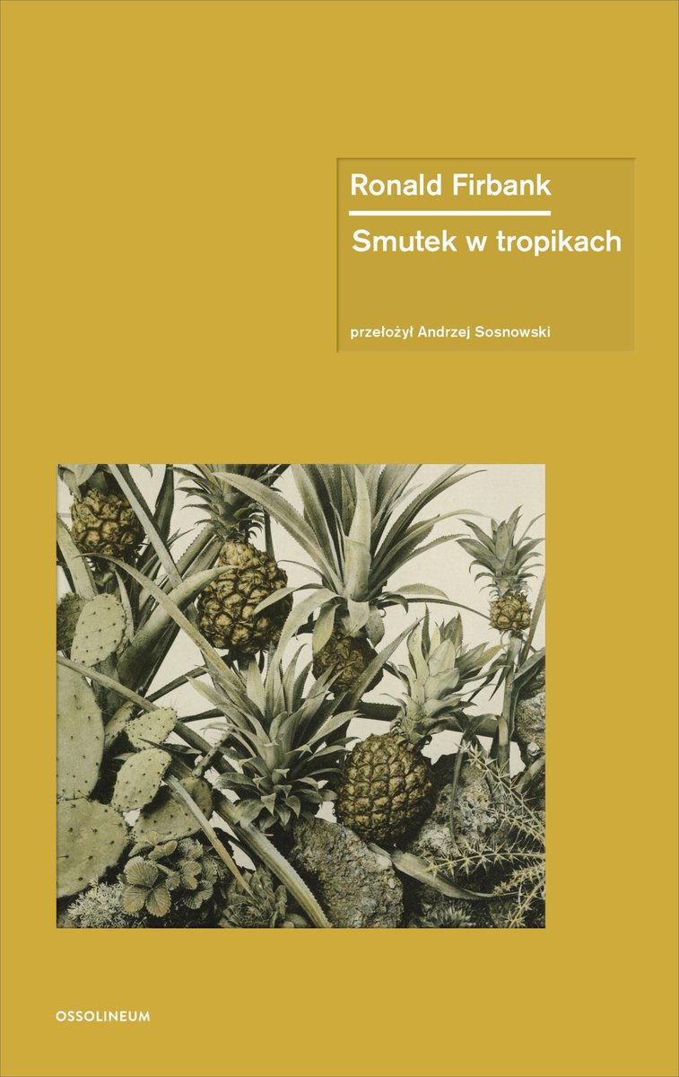 Smutek w tropikach okładka