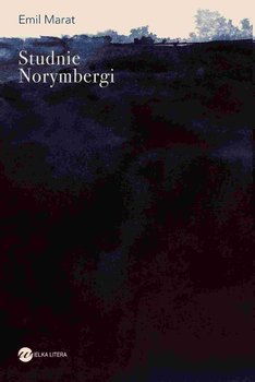 Studnie Norymbergi okładka