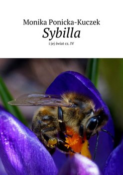 Sybilla i jej świat. Część 4 okładka