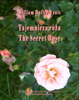 Tajemnicza róża. The Secret Rose okładka