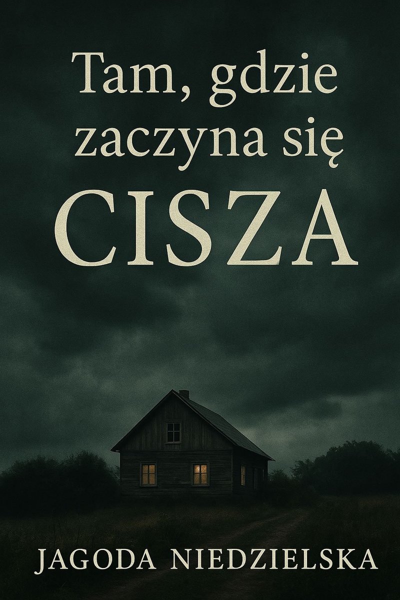 Tam, gdzie zaczyna się cisza okładka