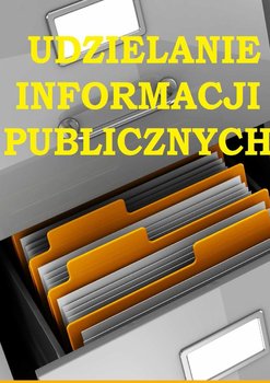 Udzielanie informacji publicznych okładka