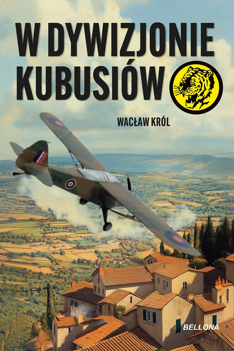 W dywizjonie Kubusiów okładka
