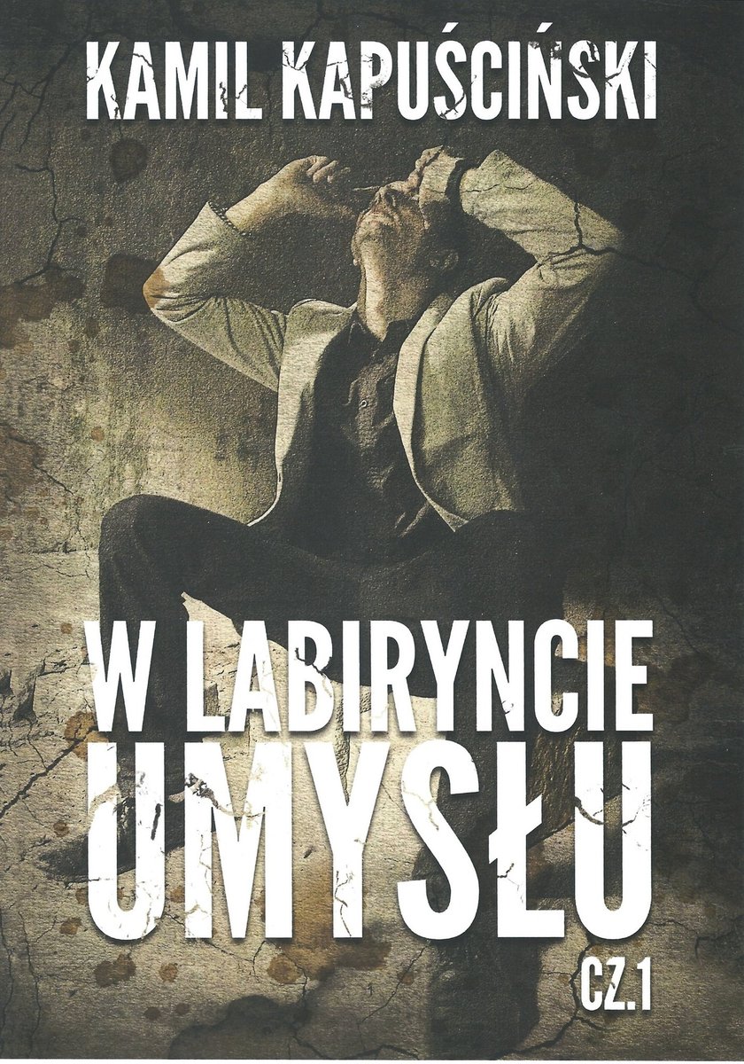 W labiryncie umysłu okładka