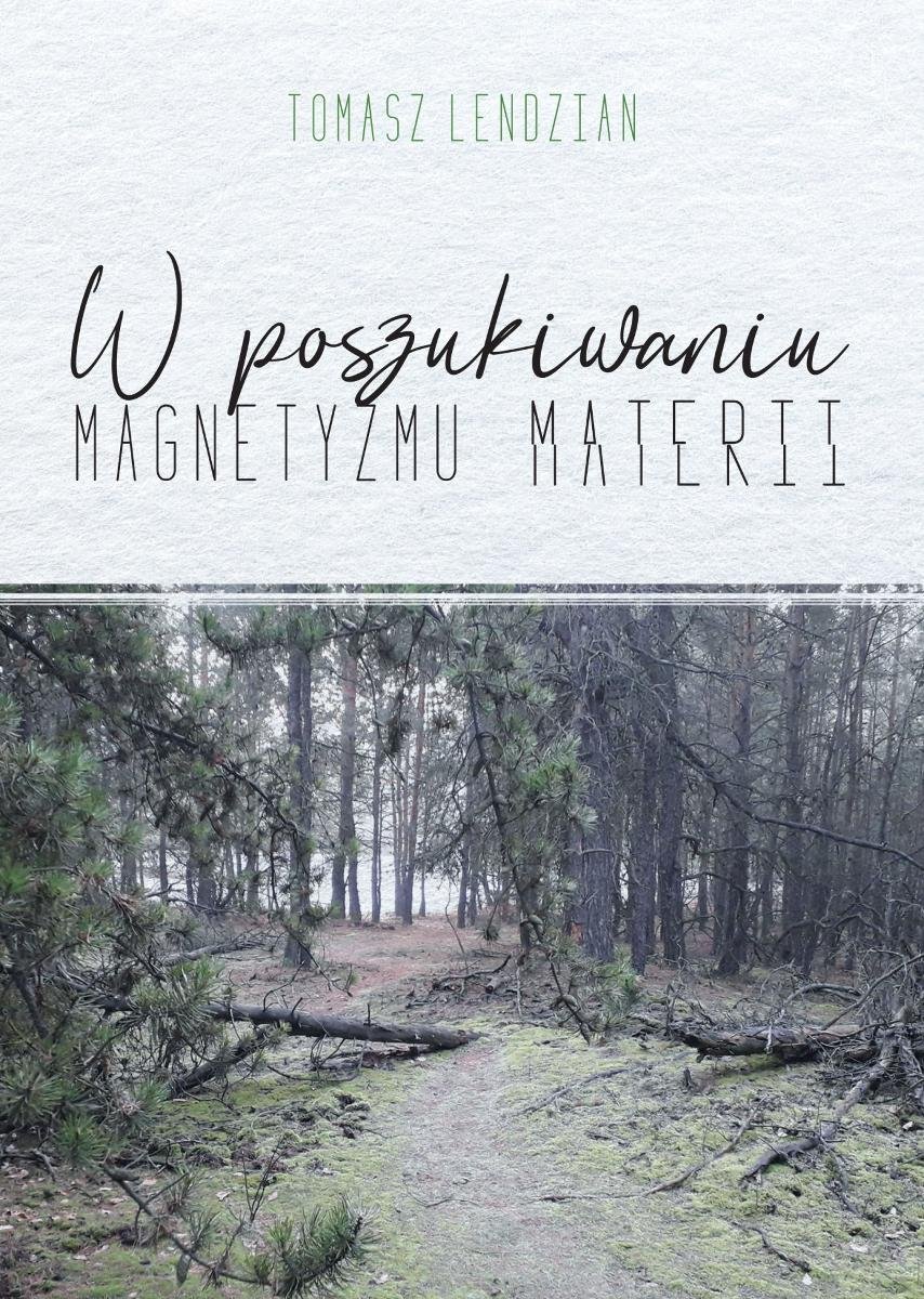 W poszukiwaniu magnetyzmu materii - ebook EPUB okładka