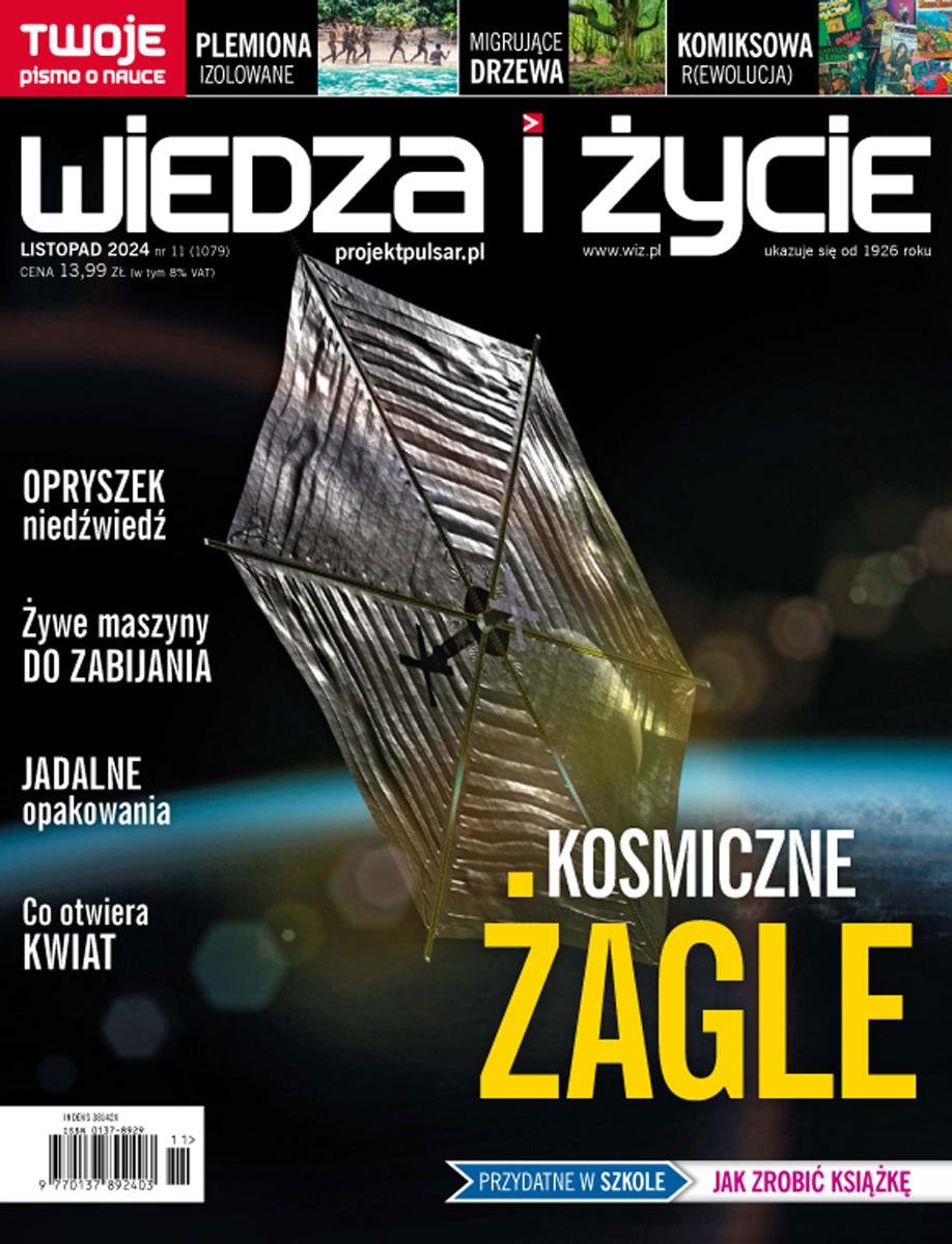 Wiedza i Życie nr 11/2024 okładka