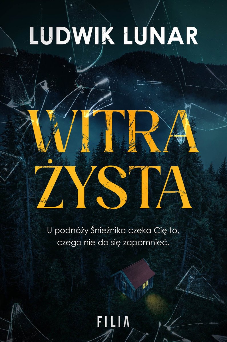 Witrażysta okładka
