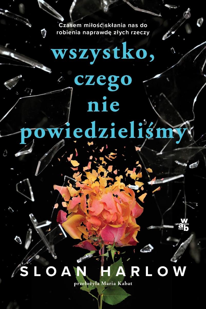 Wszystko, czego nie powiedzieliśmy okładka