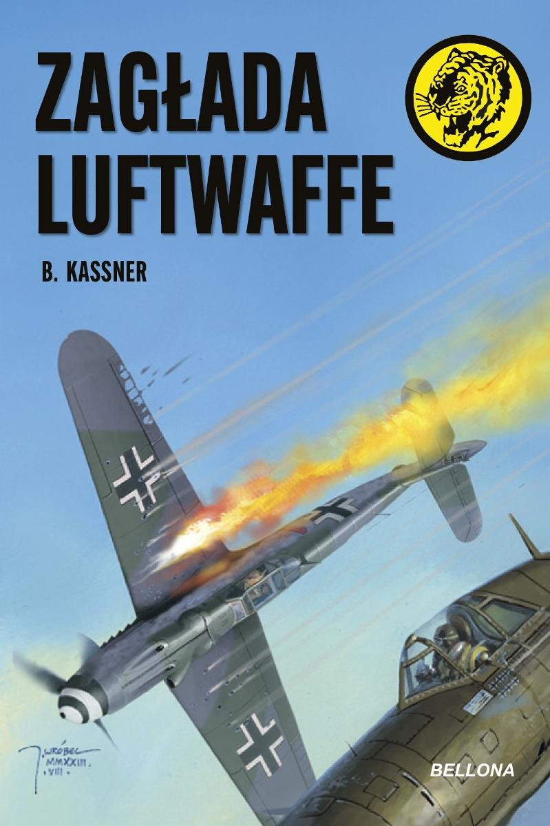 Zagłada Luftwaffe okładka