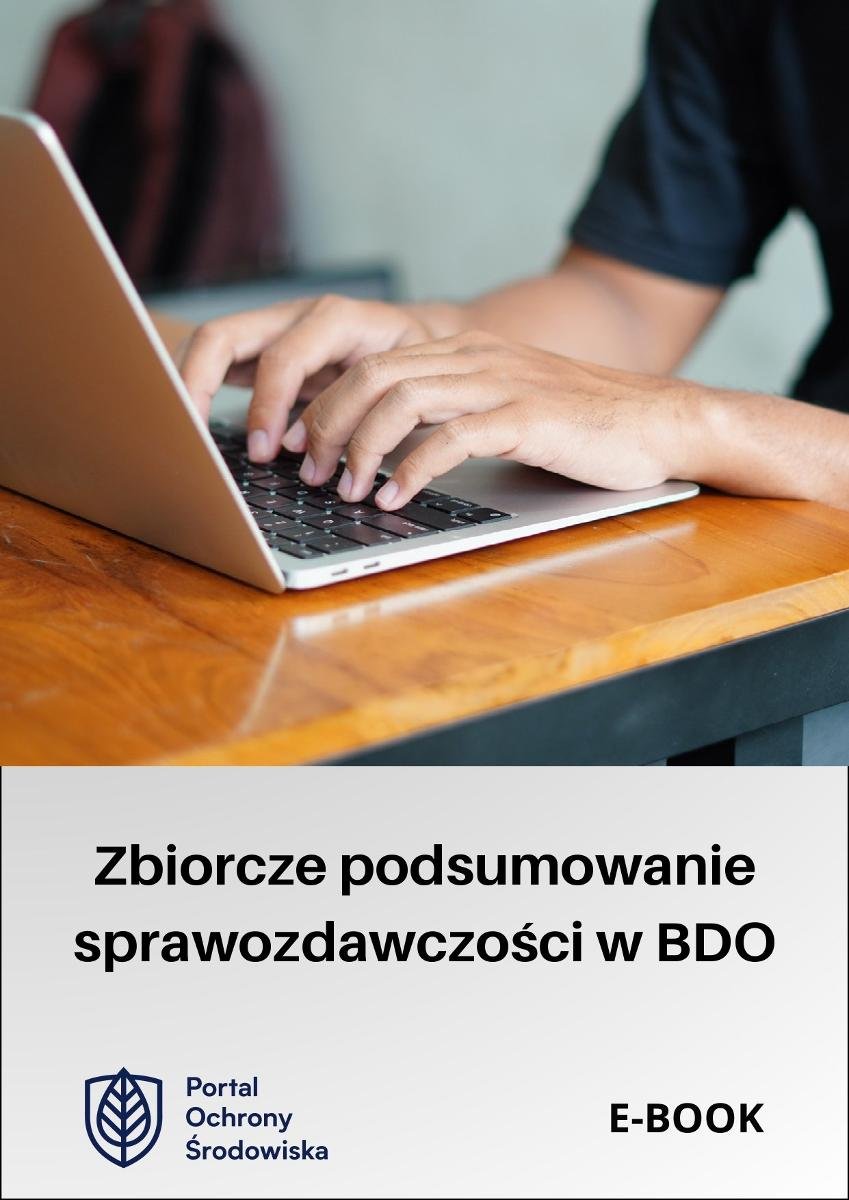 Zbiorcze podsumowanie sprawozdawczości w BDO - ebook EPUB okładka