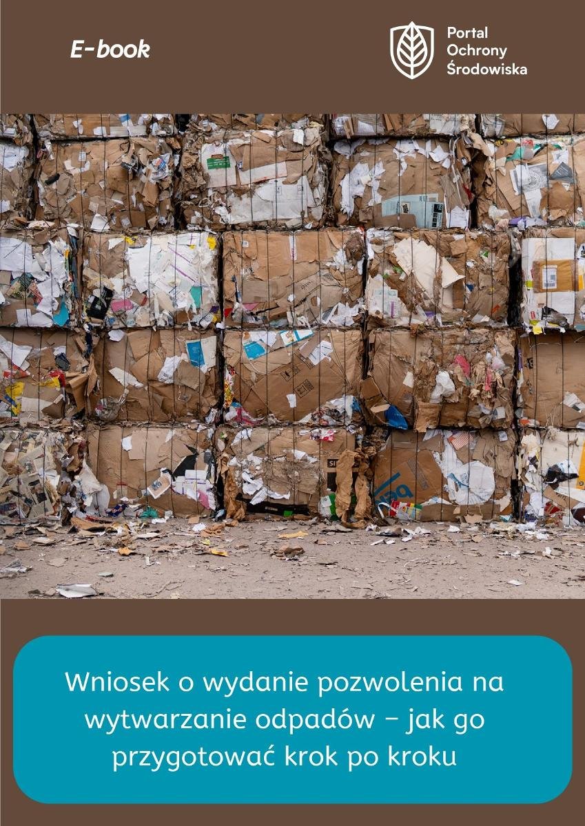 Zbiorcze podsumowanie sprawozdawczości w BDO - ebook MOBI okładka