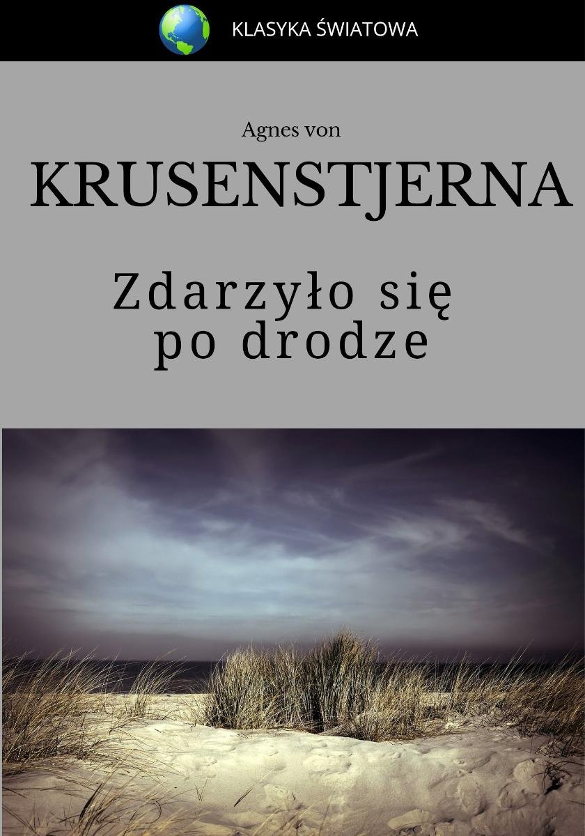 Zdarzyło się po drodze - ebook EPUB okładka