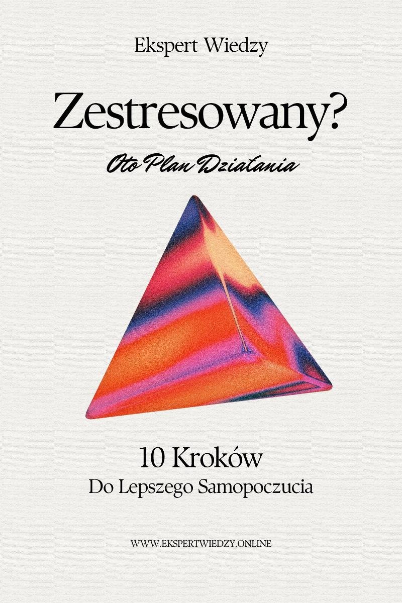 Zestresowany? Oto plan działania: 10 kroków do lepszego samopoczucia okładka