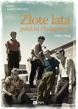 Złote lata polskiej chuliganerii 1950-1960 okładka