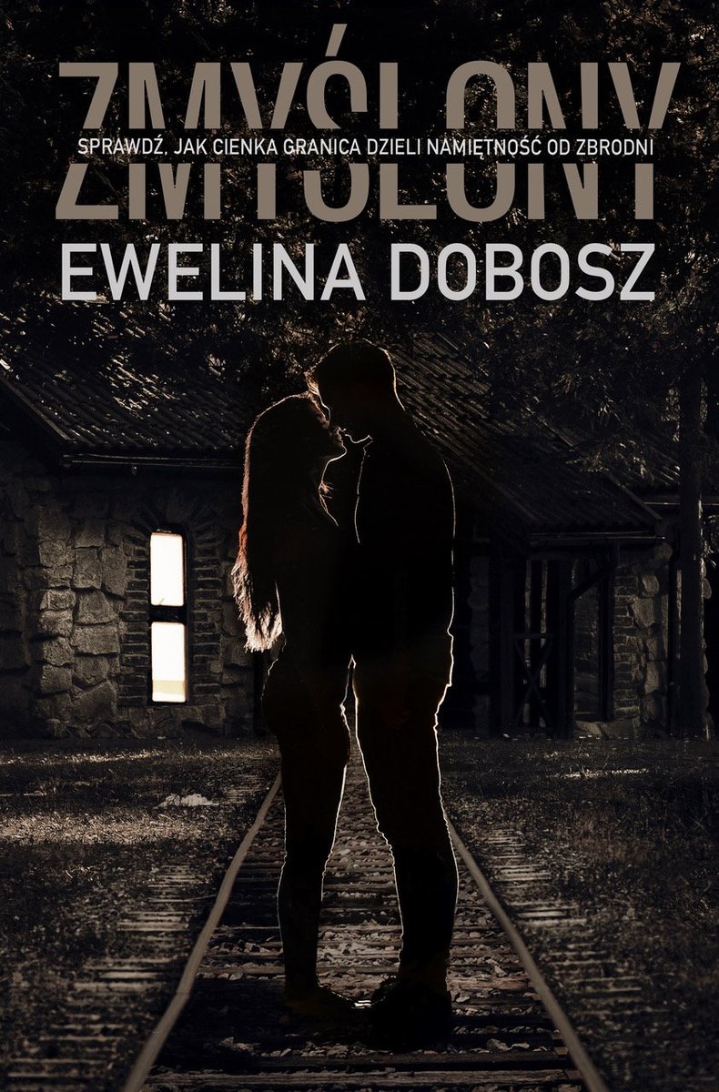 Zmyślony okładka