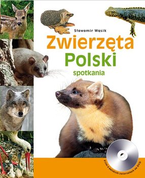 Zwierzęta Polski okładka